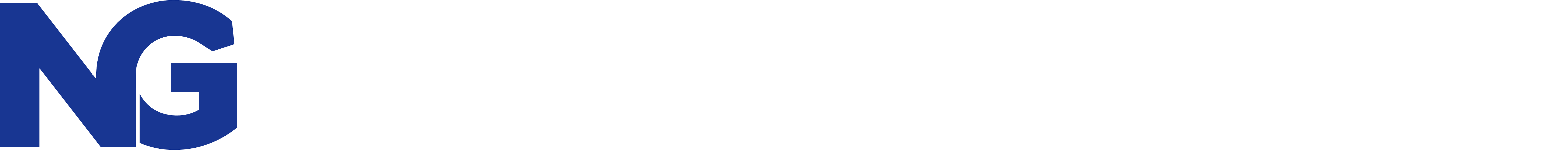 Nexim Global